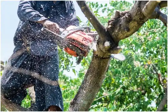 tree services Keshena